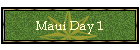 Maui Day 1